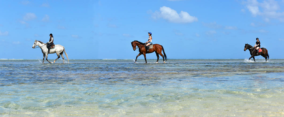 Equitation Ile Maurice