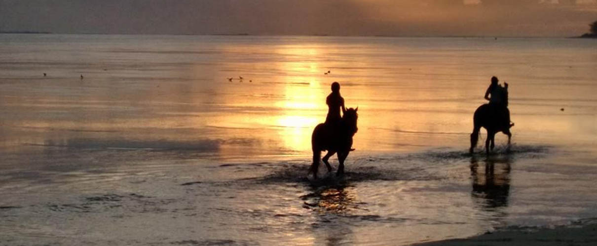 Équitation Riambel Vue sur coucher du soleil