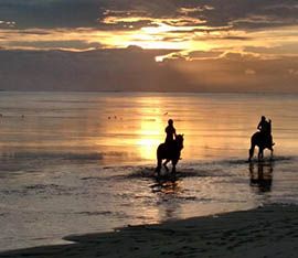 Balade à cheval au coucher du soleil à Riambel