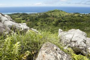 Ile Aux Chats Hermitage Islets Rodrigues