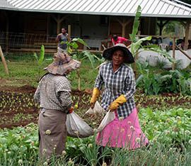 Ouvriers en permaculture À la ferme de La Meule