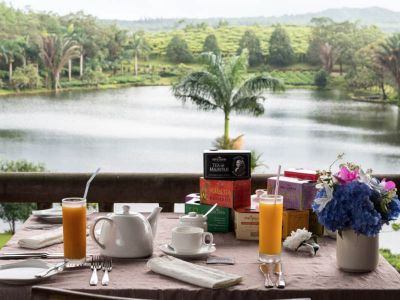 Bubble lodge at bois cheri tea estate mauritius