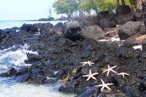 Grand Rivere Mahebourg Mauritius