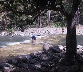 Hiking Mauritius Black River Gorges View