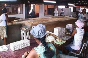 Mahebourg Mauritius Traditional Biscuit Factory