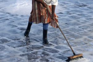 Salt Pans La Saline MAuritius Culture