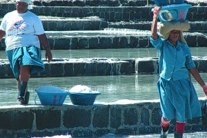 Salt Pans Mauritius Culture