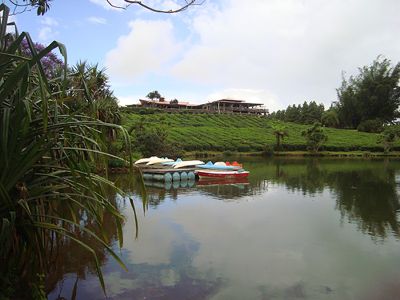 View of restaurant bois cheri mauritius